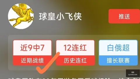 12日战绩解析：5胜4负，胜率飙升11，外界推荐背后的真相